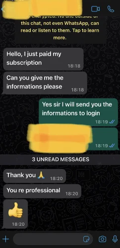 WhatsApp conversation: login details issued after payment, customer thanks support